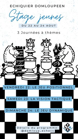 Stage échecs jeunes